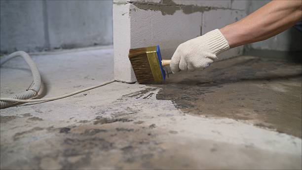 Top rated local Crawl Space Encapsulation specialists in Moonachie, NJ